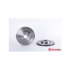 Brembo Disc Brake Rotor (Single) 275mm