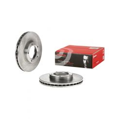 Brembo Disc Brake Rotor (Single) 255mm