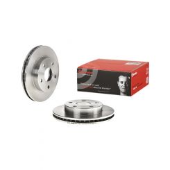 Brembo Disc Brake Rotor (Single) 255mm