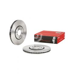 Brembo Disc Brake Rotor (Single) 288mm