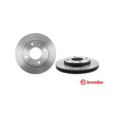 Brembo Disc Brake Rotor (Single) 256mm