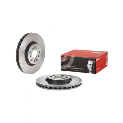 Brembo Disc Brake Rotor (Single) 310mm