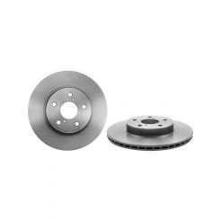 Brembo Disc Brake Rotor (Single) 302mm