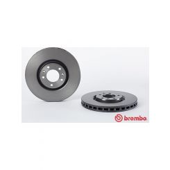 Brembo Disc Brake Rotor (Single) 309mm