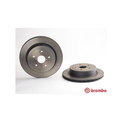 Brembo Disc Brake Rotor (Single) 316mm