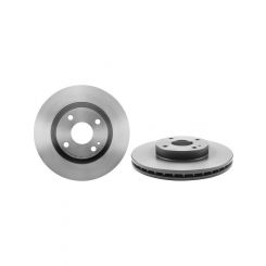 Brembo Disc Brake Rotor (Single) 257mm