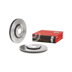 Brembo Disc Brake Rotor (Single) 310mm