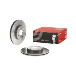 Brembo Disc Brake Rotor (Single) 255mm
