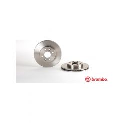 Brembo Disc Brake Rotor (Single) 243mm