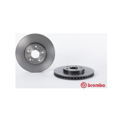 Brembo Disc Brake Rotor (Single) 300mm