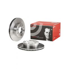 Brembo Disc Brake Rotor (Single) 300mm