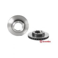 Brembo Disc Brake Rotor (Single) 313mm