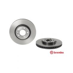 Brembo Disc Brake Rotor (Single) 333mm