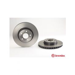 Brembo Disc Brake Rotor (Single) 312mm
