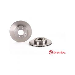 Brembo Disc Brake Rotor (Single) 241mm