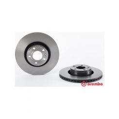Brembo Disc Brake Rotor (Single) 314mm