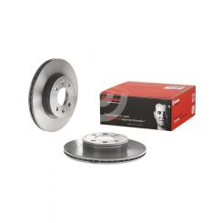 Brembo Disc Brake Rotor (Single) 256mm