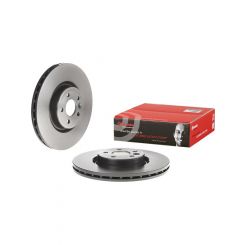 Brembo Disc Brake Rotor (Single) 336mm