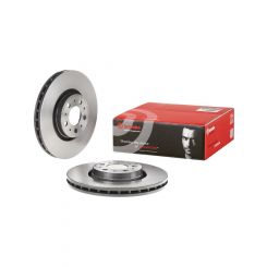 Brembo Disc Brake Rotor (Single) 316mm