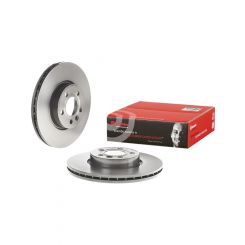 Brembo Disc Brake Rotor (Single) 313mm