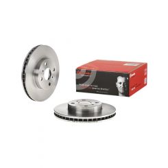 Brembo Disc Brake Rotor (Single) 255mm