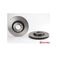 Brembo Disc Brake Rotor (Single) 368mm