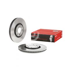 Brembo Disc Brake Rotor (Single) 302mm
