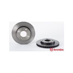 Brembo Disc Brake Rotor (Single) 256mm