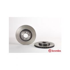 Brembo Disc Brake Rotor (Single) 294mm