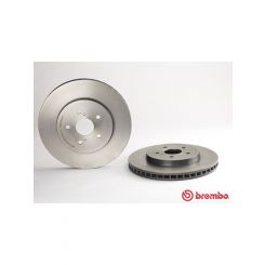 Brembo Disc Brake Rotor (Single) 319mm