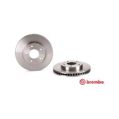 Brembo Disc Brake Rotor (Single) 270mm