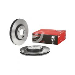 Brembo Disc Brake Rotor (Single) 300mm