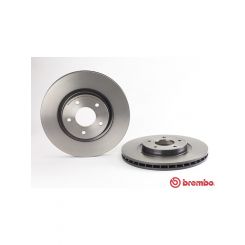 Brembo Disc Brake Rotor (Single) 325mm