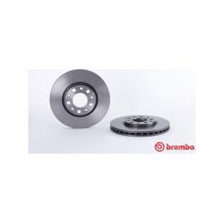 Brembo Disc Brake Rotor (Single) 281mm