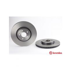 Brembo Disc Brake Rotor (Single) 320mm