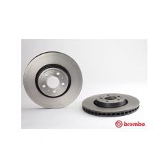 Brembo Disc Brake Rotor (Single) 320mm
