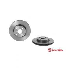 Brembo Disc Brake Rotor (Single) 258mm
