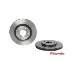 Brembo Disc Brake Rotor (Single) 296mm