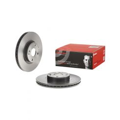 Brembo Disc Brake Rotor (Single) 270mm