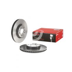 Brembo Disc Brake Rotor (Single) 300mm