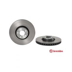 Brembo Disc Brake Rotor (Single) 342mm