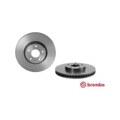 Brembo Disc Brake Rotor (Single) 300mm