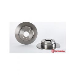 Brembo Disc Brake Rotor (Single) 295mm