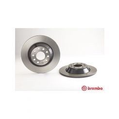 Brembo Disc Brake Rotor (Single) 302mm