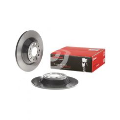 Brembo Disc Brake Rotor (Single) 302mm
