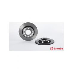 Brembo Disc Brake Rotor (Single) 255mm