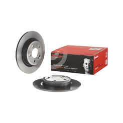 Brembo Disc Brake Rotor (Single) 295mm