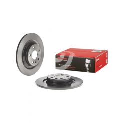 Brembo Disc Brake Rotor (Single) 302mm