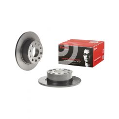 Brembo Disc Brake Rotor (Single) 253mm