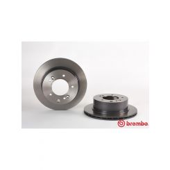 Brembo Disc Brake Rotor (Single) 315mm
